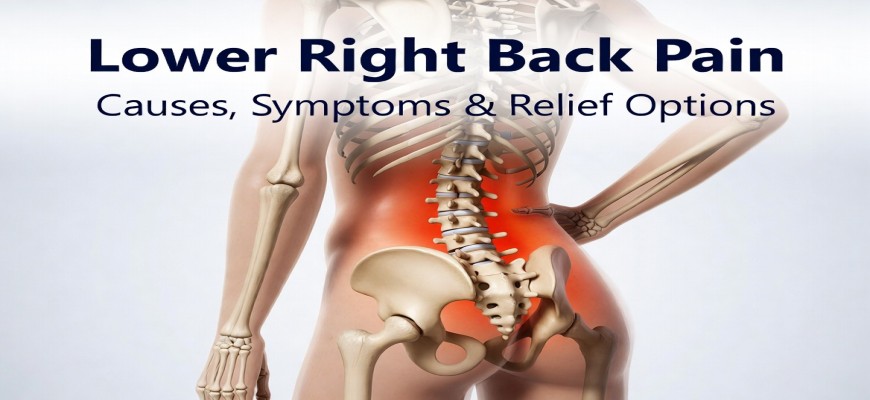 lower right back pain, lower right back pain female, lower right back pain male, lower right back pain pregnancy, lower right back pain near hip, best time to take medicine, rivotril clonazepam, oxycodone, order medicine online, Online Pharmacy with Home